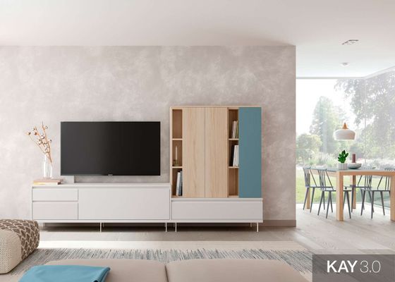 salón y tele